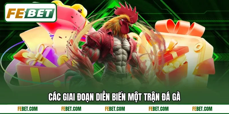 Các giai đoạn diễn biến một trận đá gà