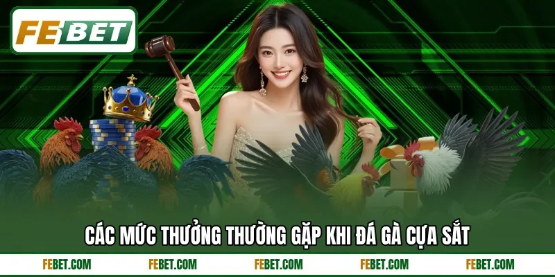 Các mức thưởng thường gặp khi đá gà cựa sắt