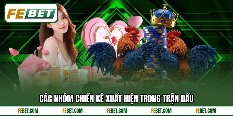 Các nhóm chiến kê xuất hiện trong trận đấu