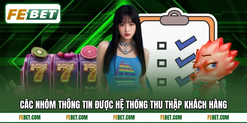 Các nhóm thông tin được hệ thống thu thập khách hàng
