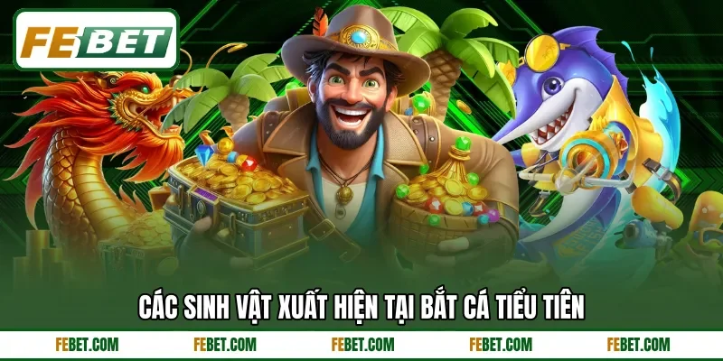 Các sinh vật xuất hiện tại bắt cá Tiểu Tiên