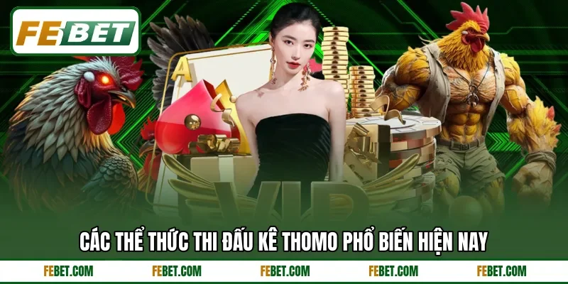 Các thể thức thi đấu kê Thomo phổ biến hiện nay
