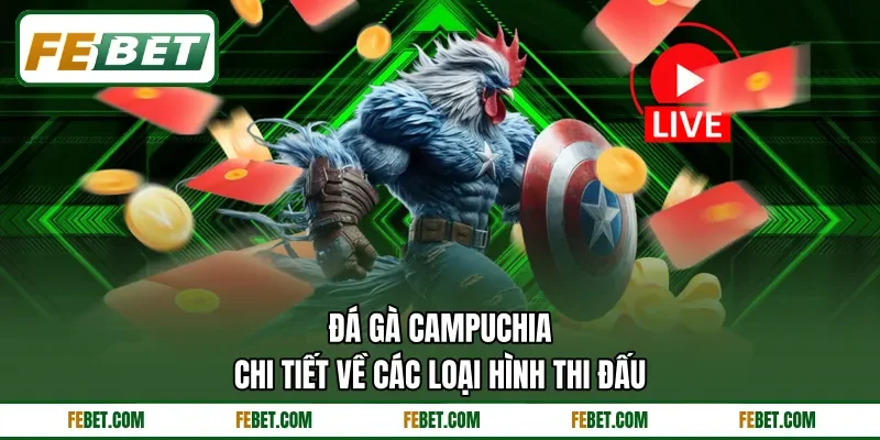 Đá Gà Campuchia - Chi Tiết Về Các Loại Hình Thi Đấu
