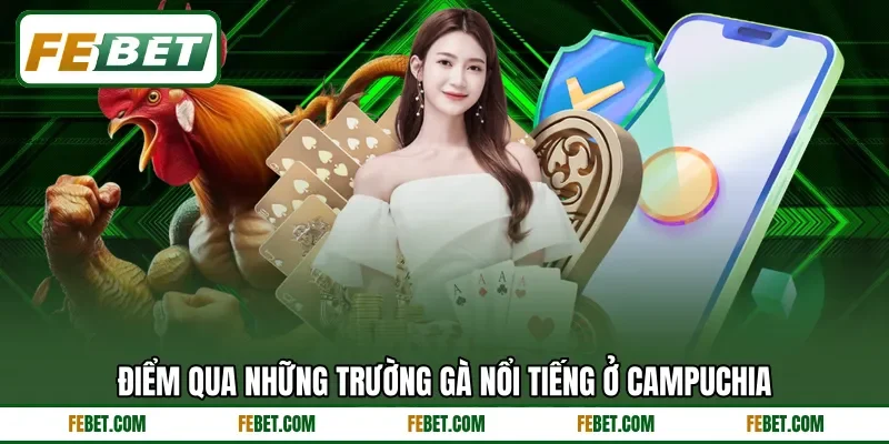 Điểm qua những trường gà nổi tiếng ở Campuchia