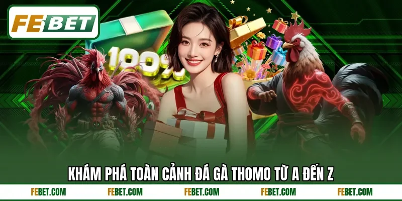 Khám phá toàn cảnh đá gà Thomo từ A đến Z