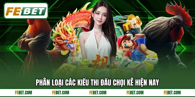 Phân loại các kiểu thi đấu chọi kê hiện nay