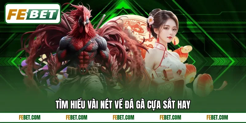Tìm hiểu vài nét về đá gà cựa sắt hay