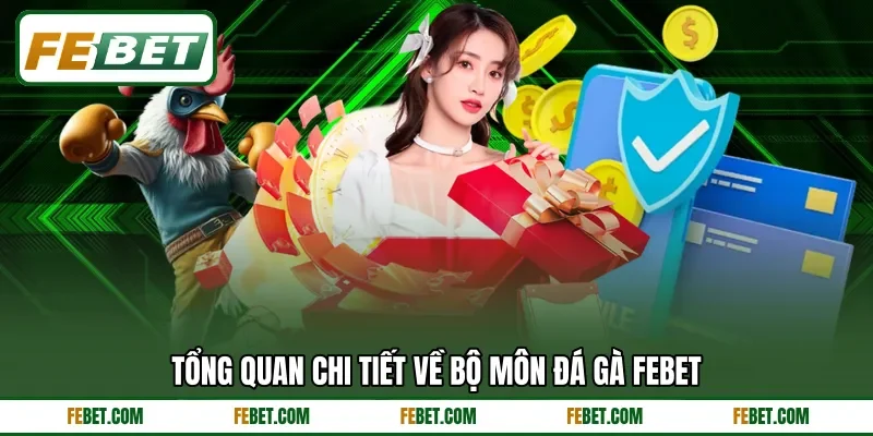 Tổng quan chi tiết về bộ môn đá gà FEBET